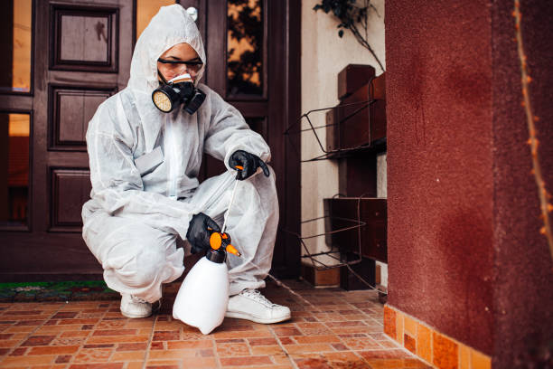 Reliable Wasp Removal contractor in Aurora, TX by Show Me Pest Control